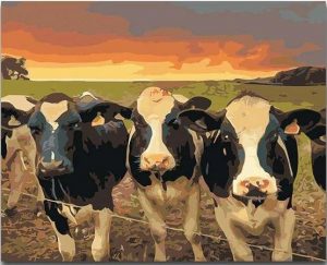 A Herd Of Cows Paint By Number