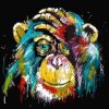 Abstract Monkey Animals Paint By Number
