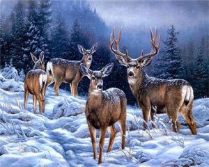 Alaska Deers Paint By Number