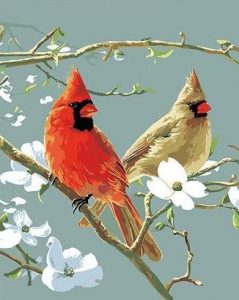 Cardinals Bird Paint By Number