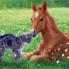 Cat And Horse Paint By Number