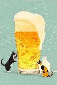 Cats Around Beer Mug Paint By Numbers