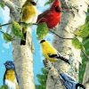 Colorful Cardinals Paint By Number