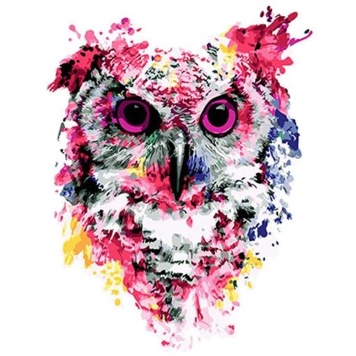 Colorful Owl Paint By Number