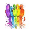 Colorful Parrots Paint By Number