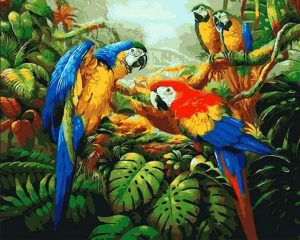 Colorful Parrots Paint By Number