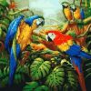 Colorful Parrots Paint By Number