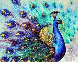Colorful Peacock Paint By Number