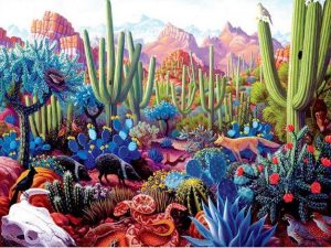 Colorful Succulents Paint By Number