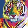Colorful Tiger Animals Paint By Numbers