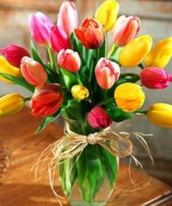 Colorful Tulips Paint By Number