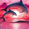 Dolphin Show In Pink Sky Paint By Number