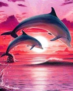 Dolphin Show In Pink Sky Paint By Number