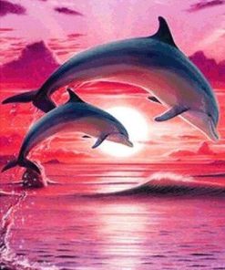 Dolphin Show In Pink Sky Paint By Number