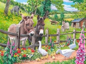 Donkey Goose Farm Paint By Number