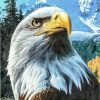 Eagle Looks Up Paint By Number