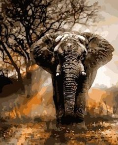 Elephant Animals Paint By Numbers