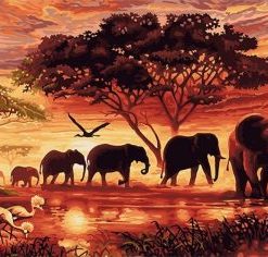 Elephants Paint By Number