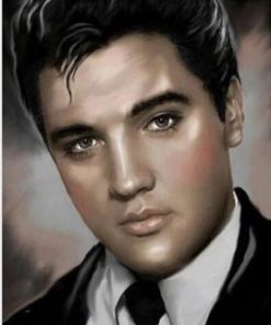 Elvis Presley Paint By Numbers