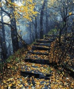 Forrest Stairs Path Paint By Number