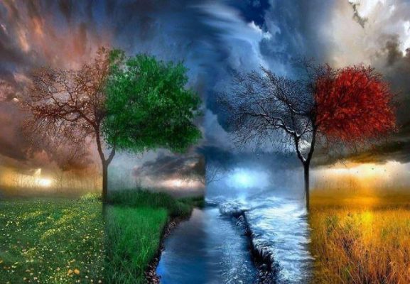 Four Season Trees Paint By Number