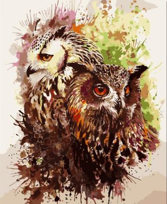 Owl Lovers Paint By Numbers