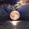 Full Moon on Lake Paint By Number