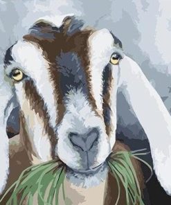 Goats eat grass paint by number
