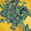 Irises Flower By Vincent Van Gogh Paint By Number
