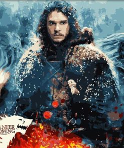 Jon Snow - DIY Paint By Numbers - Numeral Paint