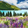 Lake Tekapo Paint By Number