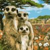 Meerkat family Paint By Number