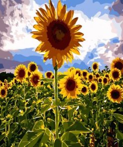 Nature Sunflowers Paint By Number