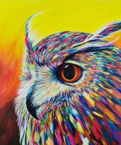 Owl Portrait Paint By Number