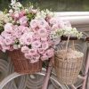 Pink Roses In Bike Paint By Number