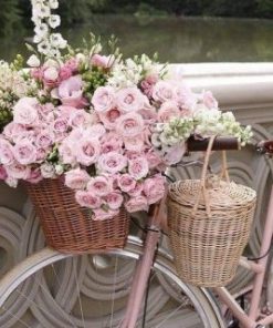 Pink Roses In Bike Paint By Number