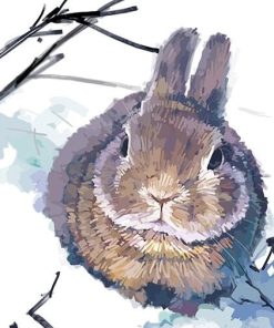 Rabbit In Snow Paint By Numbers