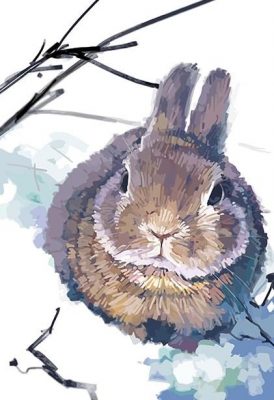 Rabbit In Snow Paint By Numbers