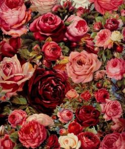 Rose Flowers Paint By Number