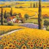 Sunflower Farm Paint By Number
