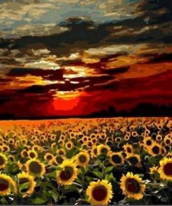 Sunflower Field At Sunset Paint By Number