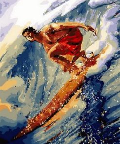 Surfer Boy Paint By Number