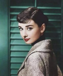 Sweet Audrey Hepburn Paint By Number