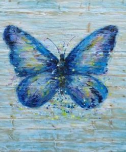 The Common Blue Butterfly Paint By Number