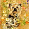 The Yorkshire Terrier Paint By Number