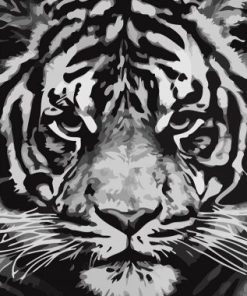 Tiger In Black And White Paint By Number