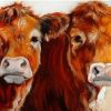 Two Brown Cows Paint By Number