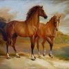 Two Horses By The Water Paint By Number