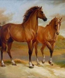 Two Horses By The Water Paint By Number
