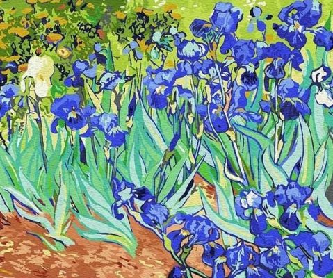 Vincent Van Gogh Irises Paint By Number